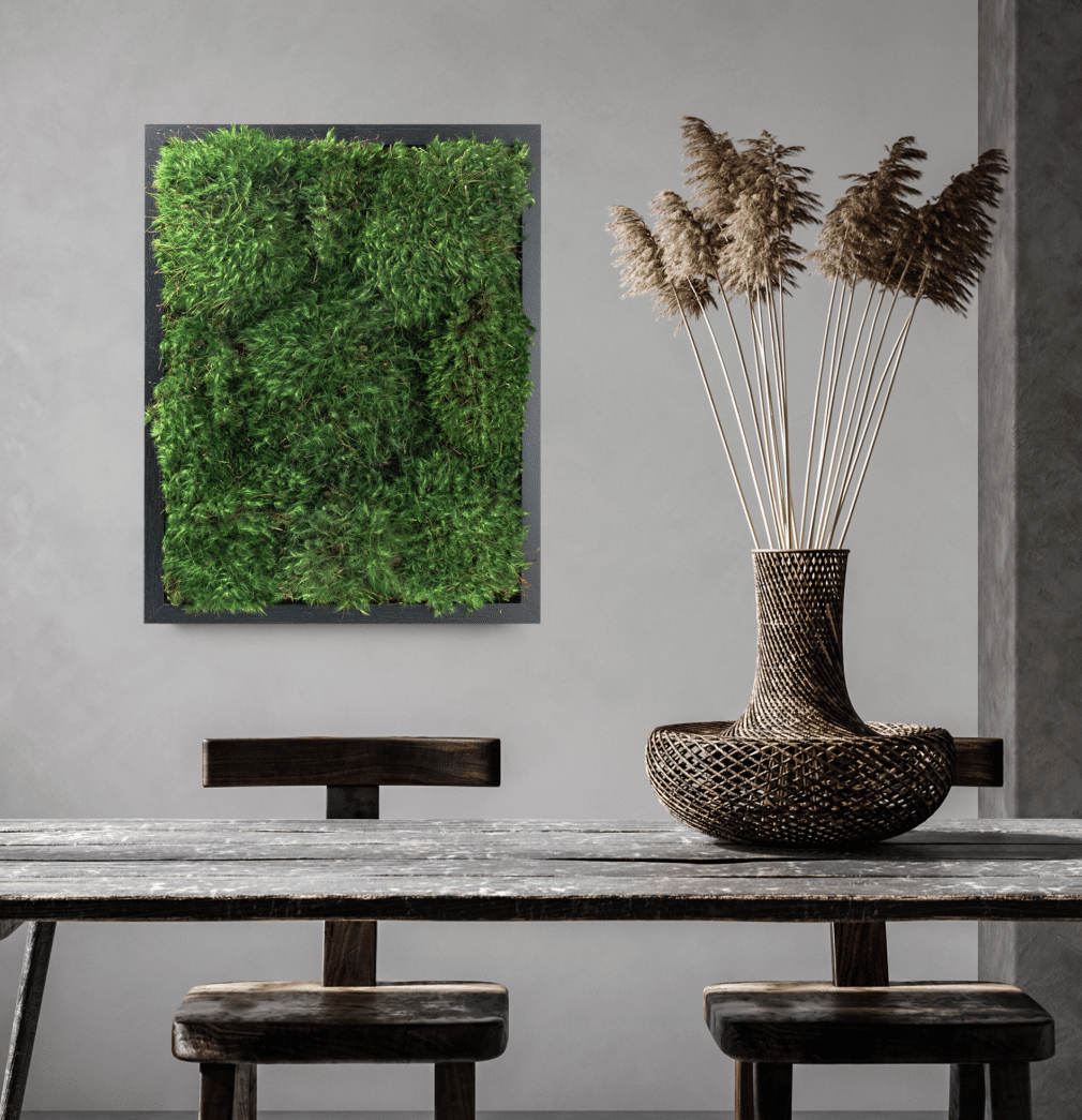 Live Mood Moss Wall Art in Black - Shop Now